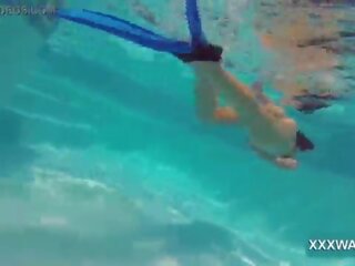 Grande bruna scorta caramella swims sott’acqua