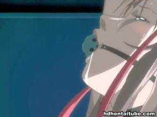 Mix of vids by hentai niches